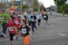photo454_small.jpg