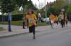 photo497_small.jpg