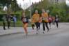 photo519_small.jpg