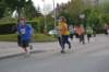 photo529_small.jpg