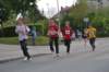 photo536_small.jpg