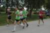 photo226_small.jpg