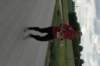 photo305_small.jpg