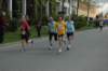 photo393_small.jpg