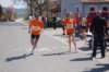 photo163_small.jpg