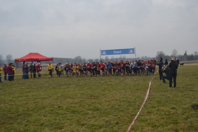 photo10.jpg
