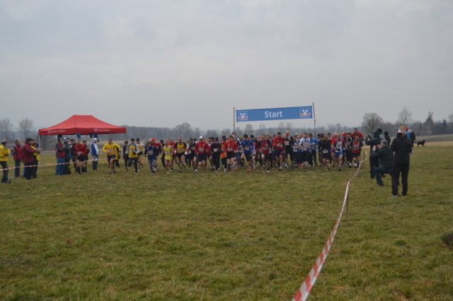 photo11.jpg