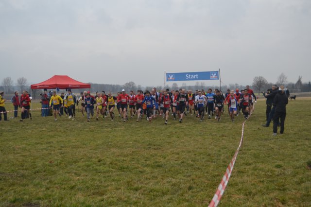 photo14.jpg
