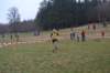 photo164_small.jpg