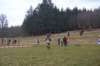photo186_small.jpg