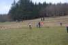 photo218_small.jpg
