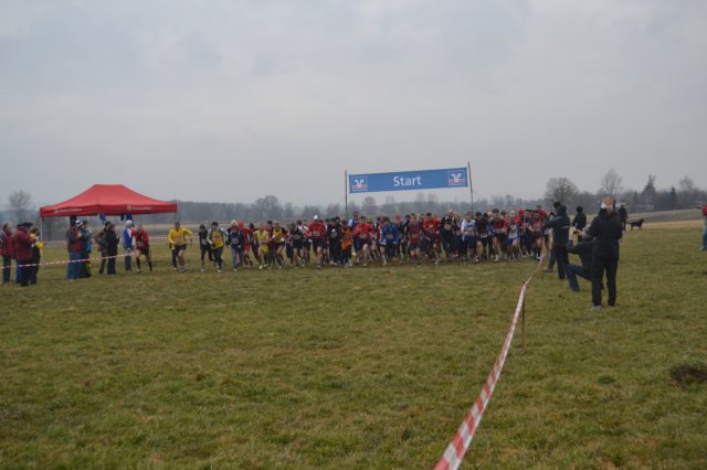 photo9.jpg