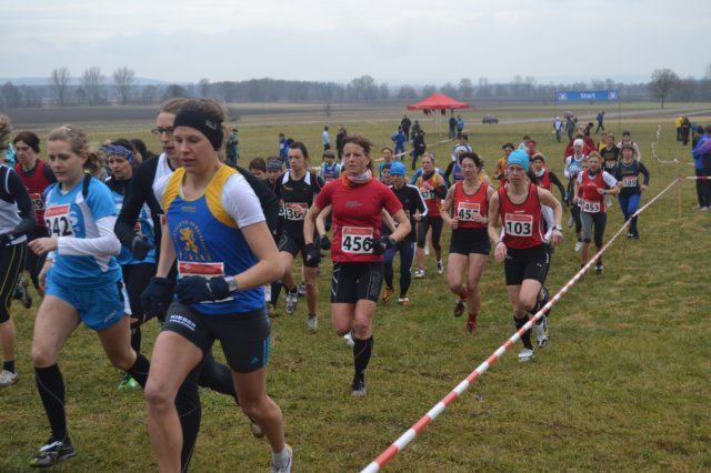 photo14.jpg