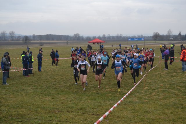 photo4.jpg