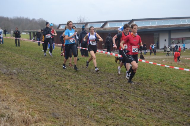 photo48.jpg