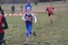 photo82_small.jpg