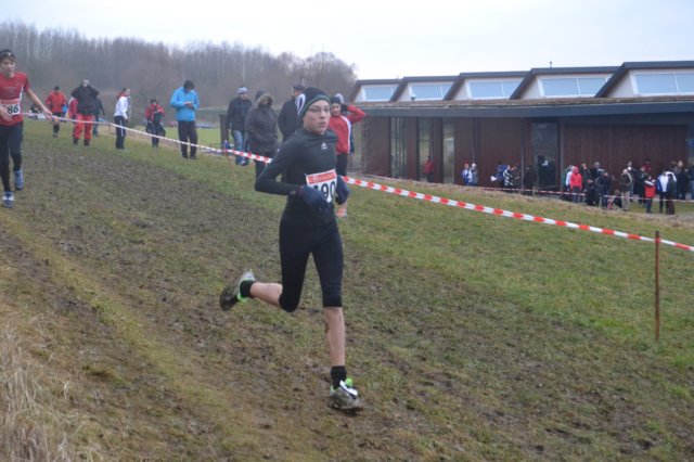 photo29.jpg