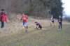 photo57_small.jpg