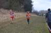photo59_small.jpg