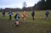 photo119_small.jpg