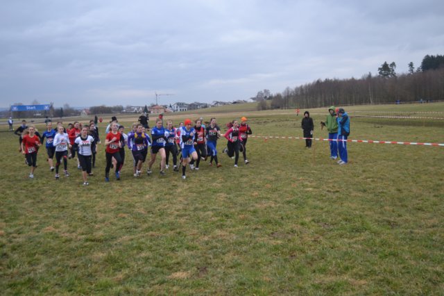 photo3.jpg
