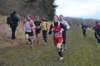 photo129_small.jpg