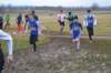 photo144_small.jpg