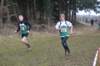 photo164_small.jpg