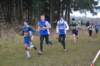 photo166_small.jpg
