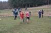 photo47_small.jpg