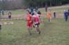 photo49_small.jpg
