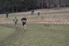 photo94_small.jpg