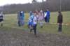 photo115_small.jpg