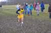 photo117_small.jpg