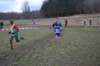 photo214_small.jpg
