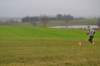 photo65_small.jpg