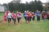 photo315_small.jpg