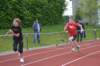 photo233_small.jpg