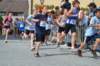 photo243_small.jpg