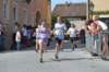photo217_small.jpg