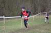 photo337_small.jpg