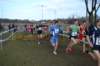 photo428_small.jpg