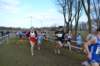 photo443_small.jpg