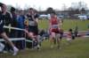 photo586_small.jpg