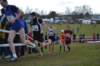photo598_small.jpg