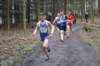 photo694_small.jpg