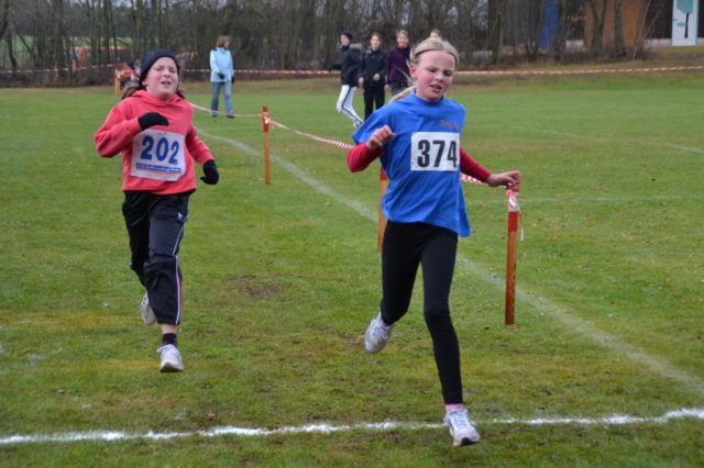 photo365.jpg