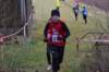 photo394_small.jpg