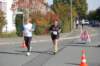 photo260_small.jpg