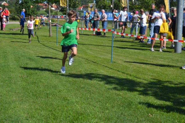 photo44.jpg